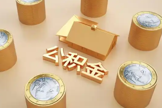 邵阳退休公积金代办提取额度是多少？